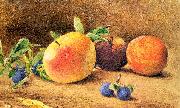 Hill, John William Study of Fruit oil painting reproduction